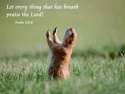 A Confession and Creed for Bright Sunday